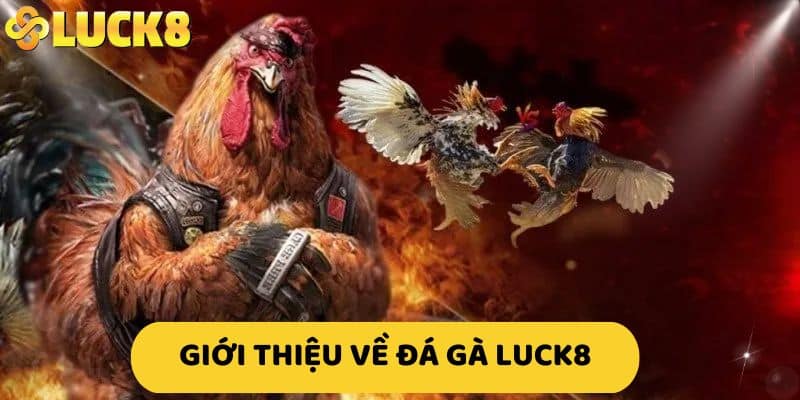 Giới thiệu đá gà LUCK8