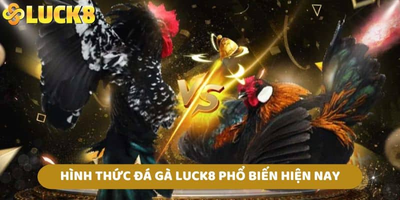 Hình thức đá gà LUCK8 phổ biến hiện nay